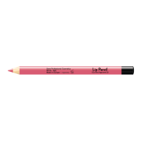 Lip Pencil Sane I Do Not Approve 1.14 gr