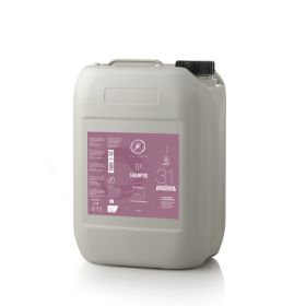 Șampon hrănitor pentru părul uscat/creț JEAN ROBERT Nutriente for Dry Frizzy hair 10 l.